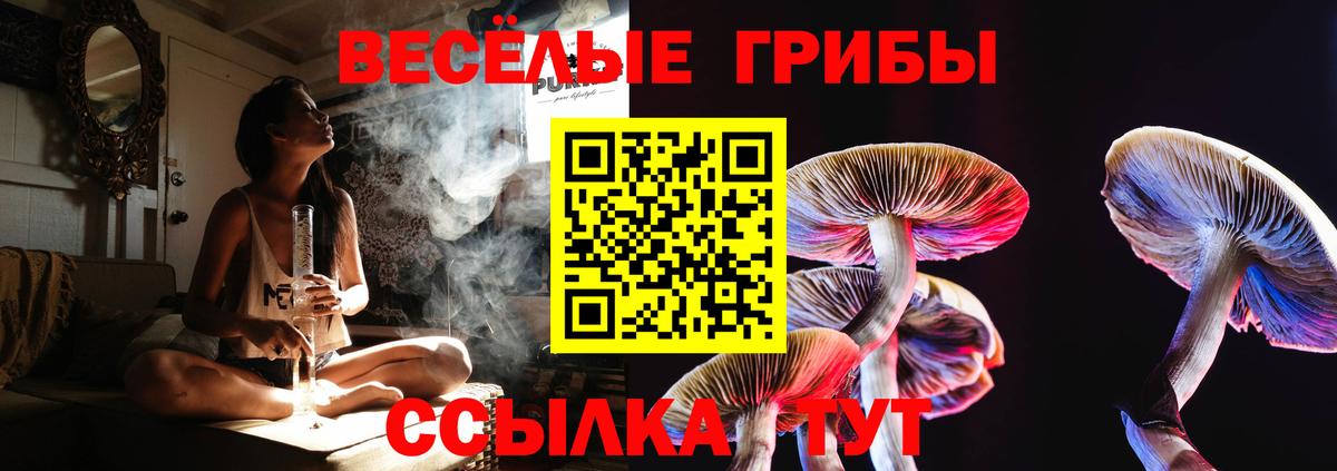 Александров  Галлюциногенные грибы Magic Shrooms  Вход с VPN 